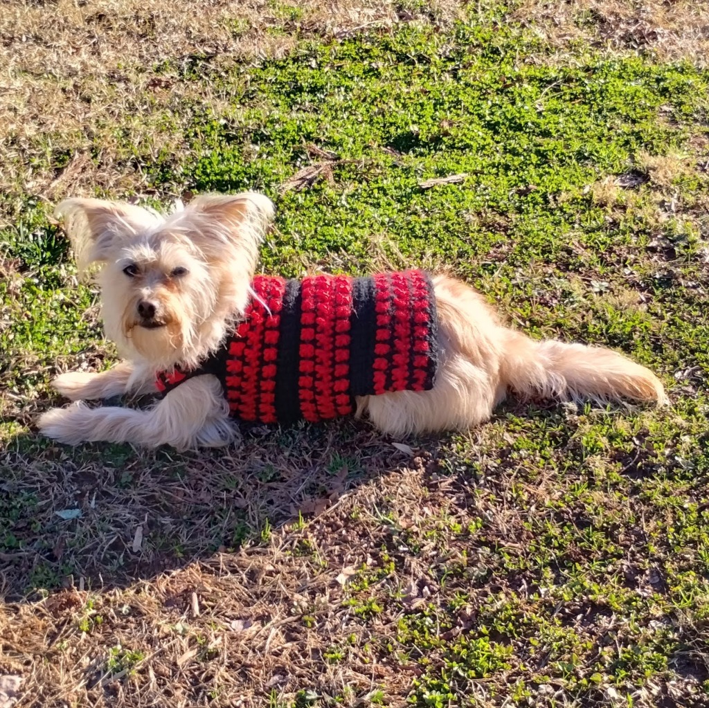 Chunky Lattice Dog Sweater